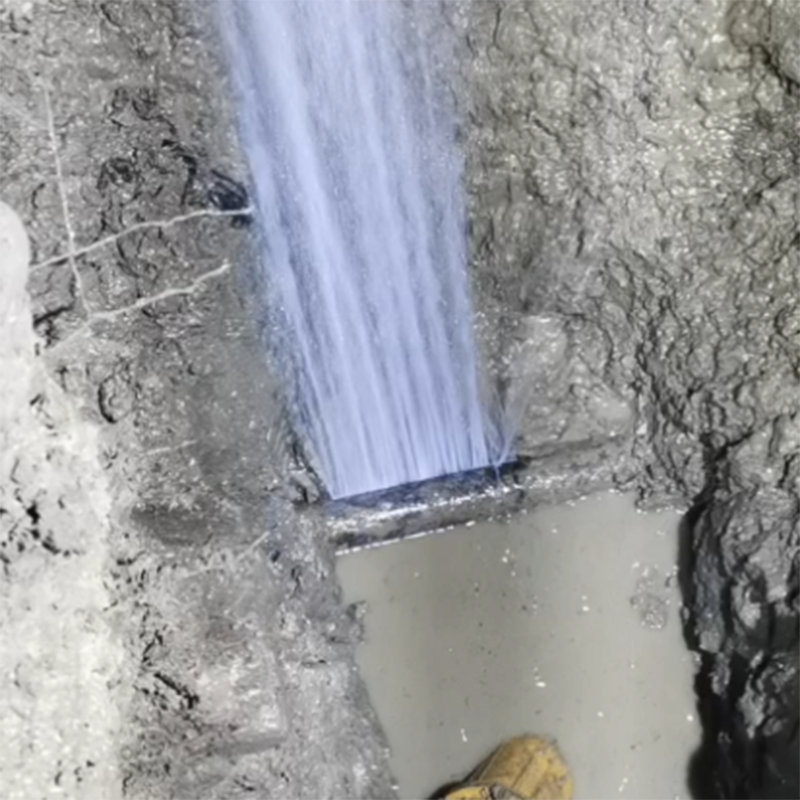 西藏拉萨供水管道漏水检测 (1).jpg