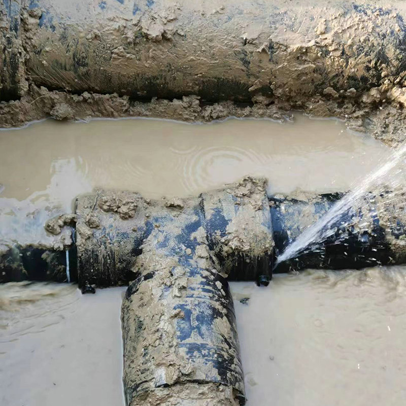 西藏拉萨供水管道漏水检测 (9).jpg